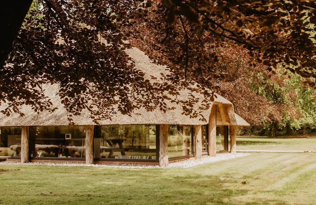 B&B Mollenvlied op de Veluwe-1